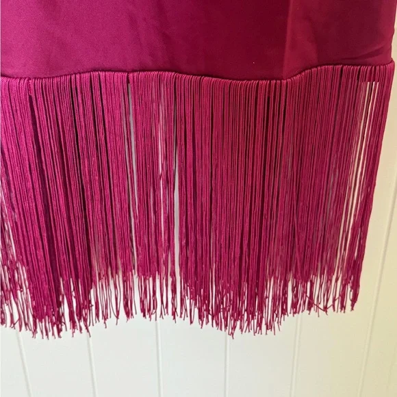 NWT - VICI  Gilli Satin Fringe Trim Midi Dress - Picture 6 of 10